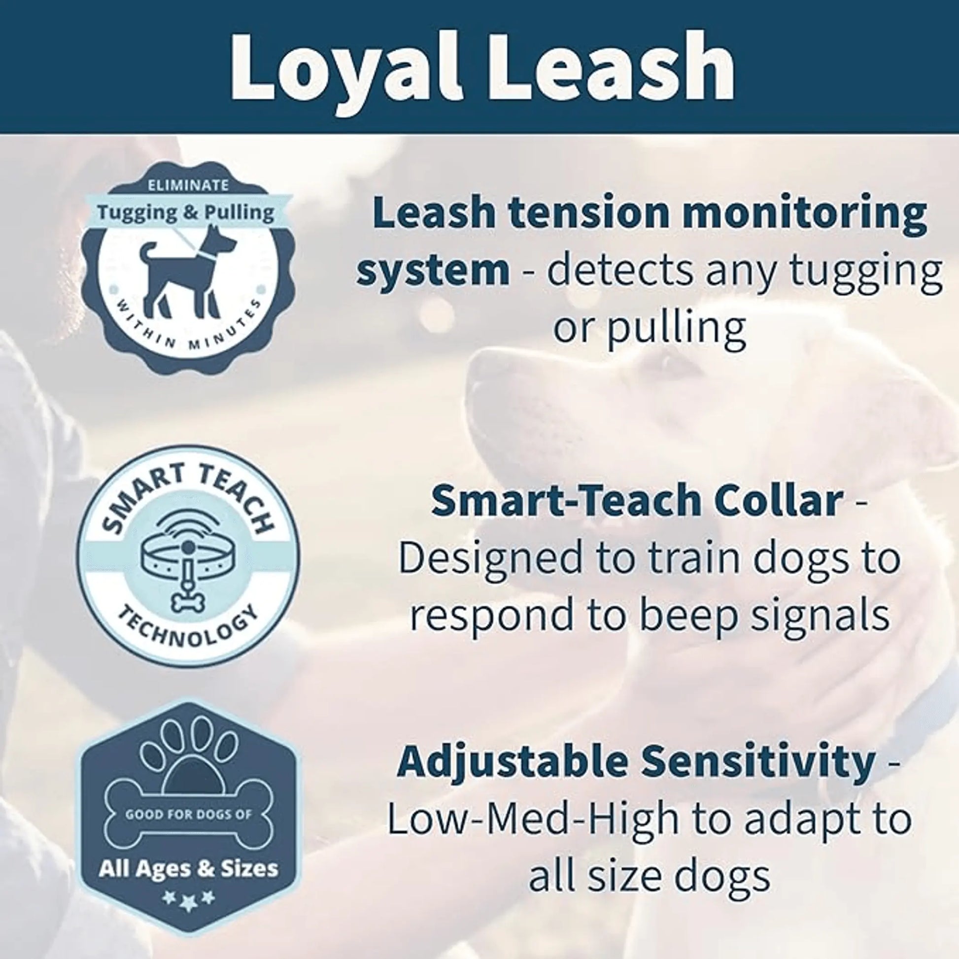 Loyal Leash: The World's Premier E-Leash Innovation-3